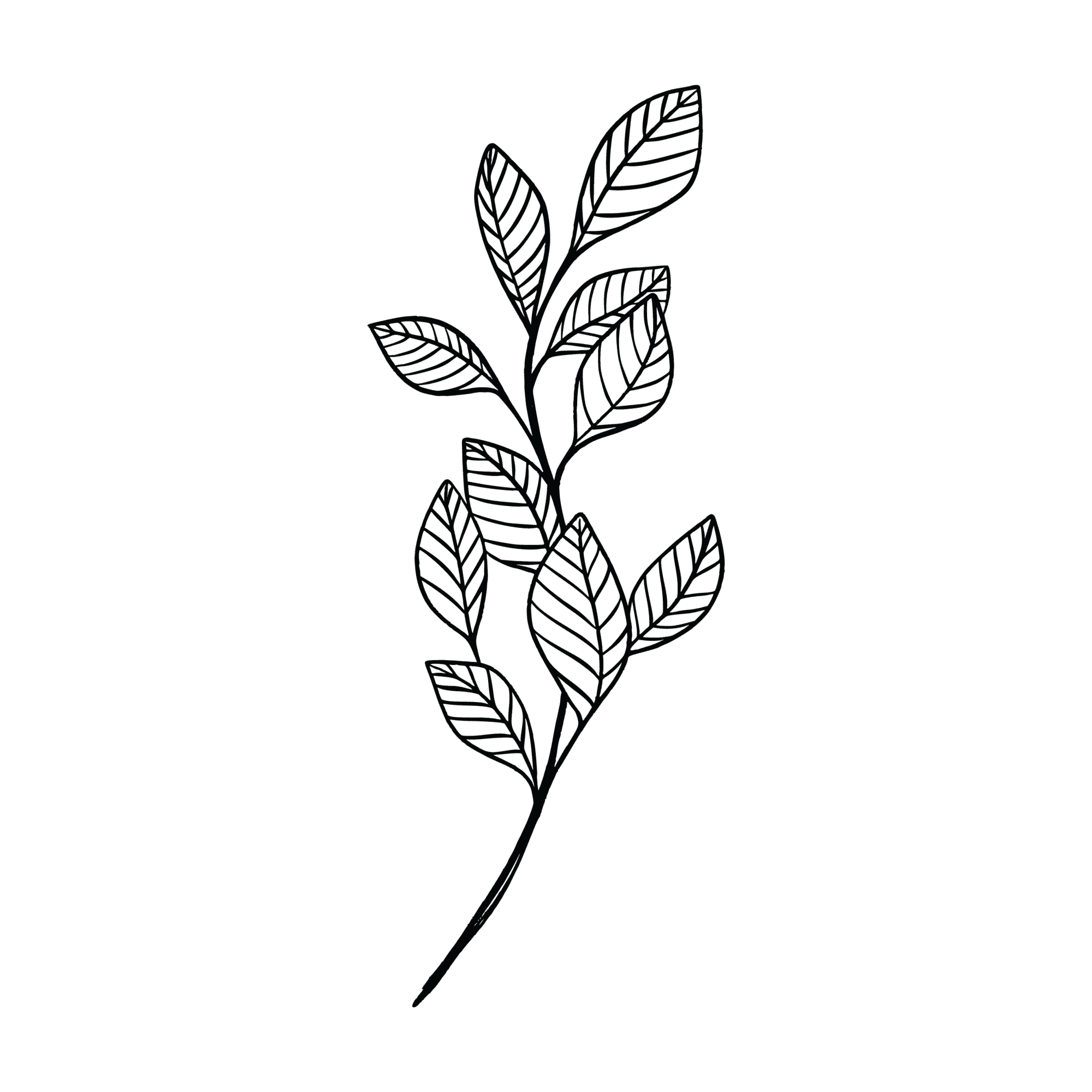 Urban Well Medspa + Wellness service