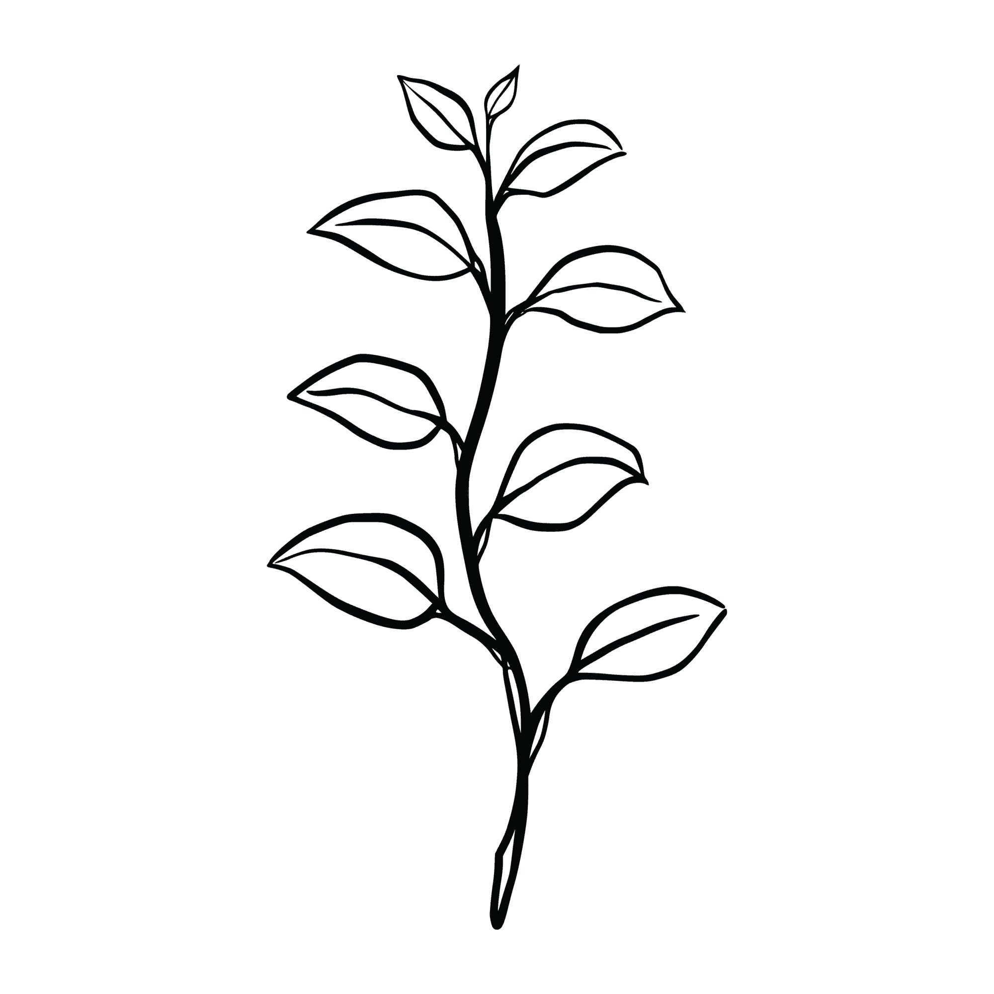 Urban Well Medspa + Wellness service